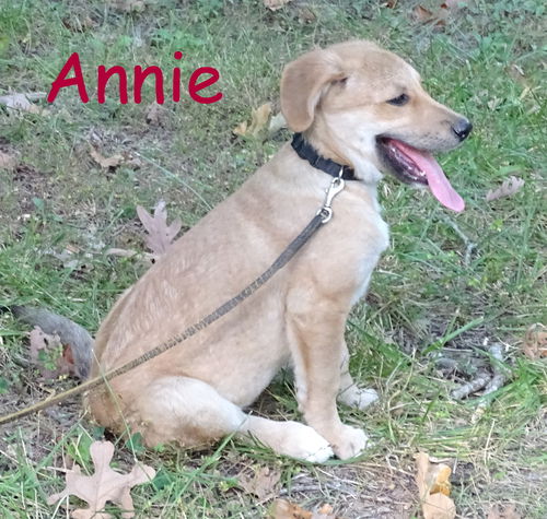 Annie