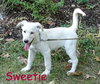 Sweetie