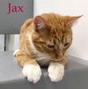 Jax