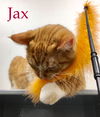 Jax