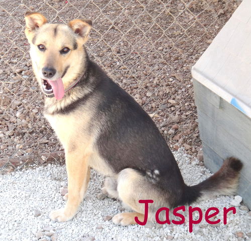 Jasper