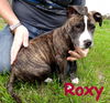 Roxy