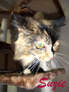 Suzie