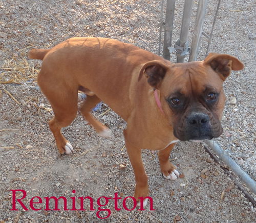 Remington