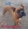 Remington