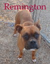 Remington