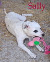 Sally