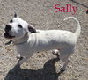 Sally