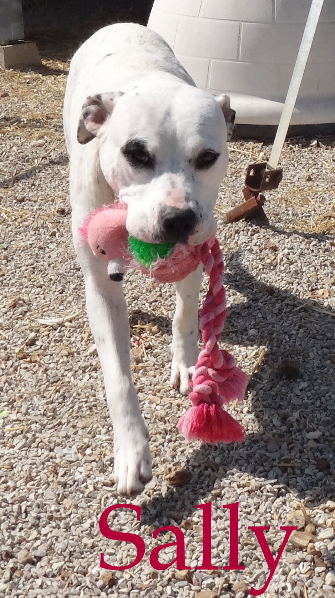Sally, photo 7