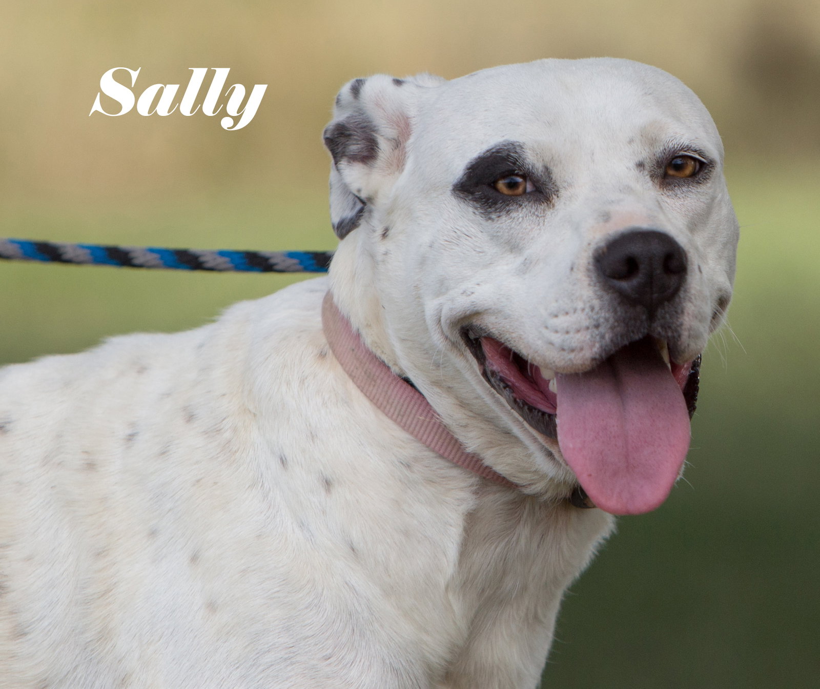Sally