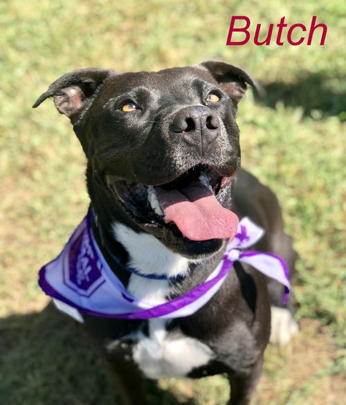 Butch