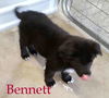 Bennett (aka Benny)