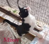 Missy