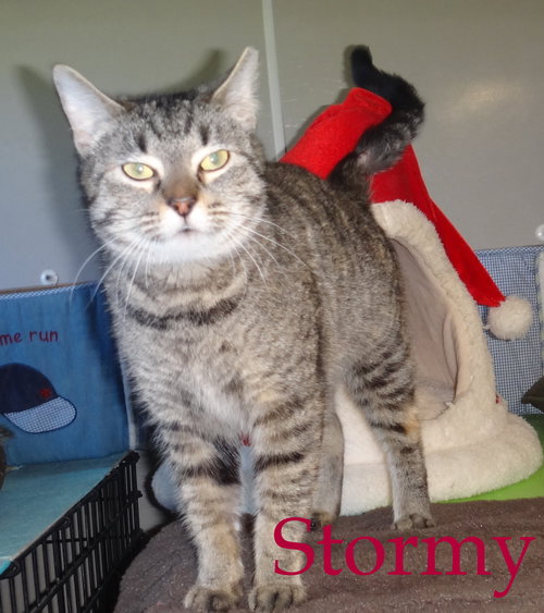 Stormy