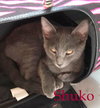 Shuko