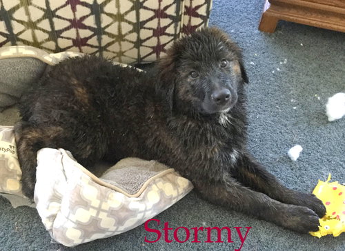 Stormy