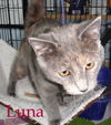 Luna