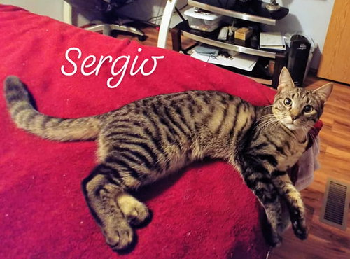 Sergio