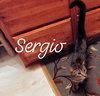 Sergio