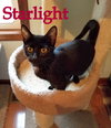 Starlight