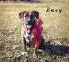 Lucy