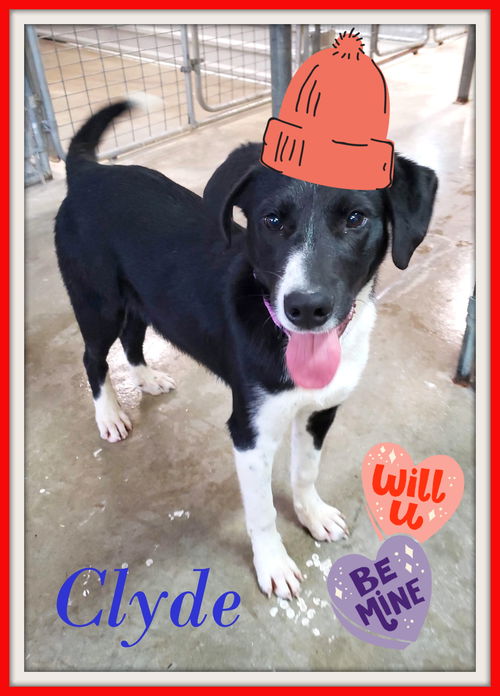 Clyde