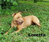 Loretta