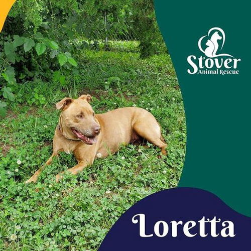 Loretta