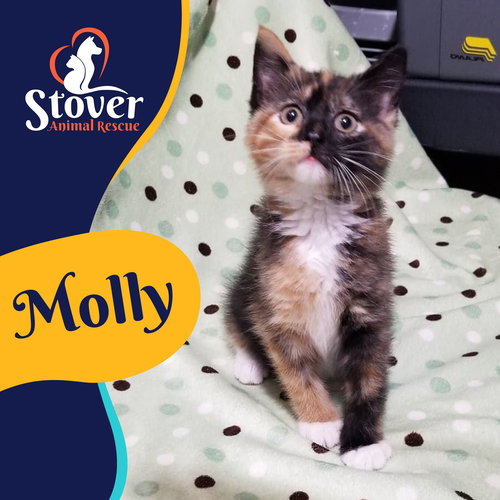 Molly