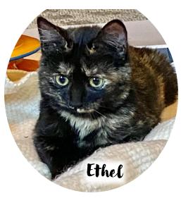 Ethel