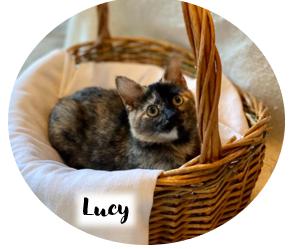 Lucy