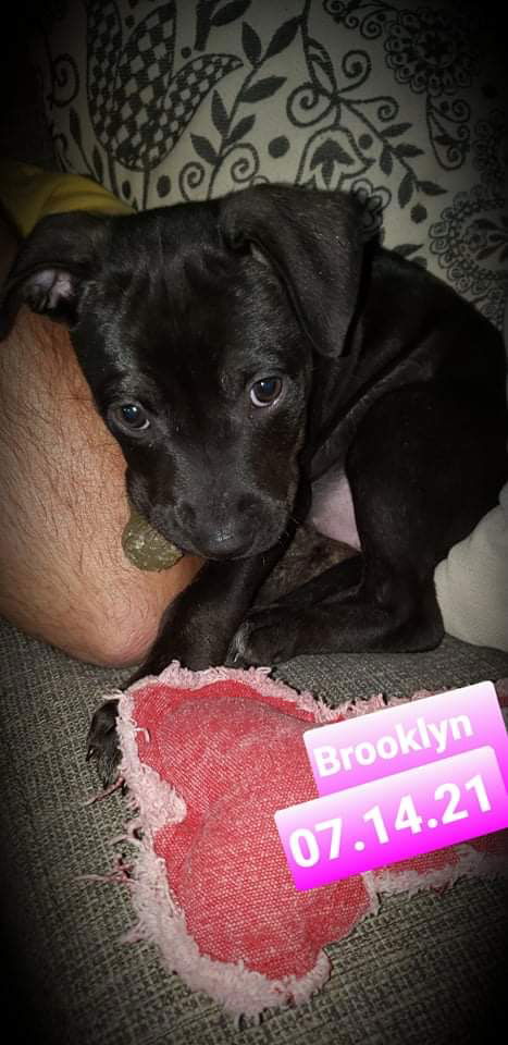Brooklyn