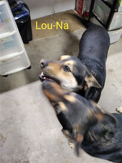 Lou-Na