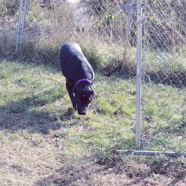Betty