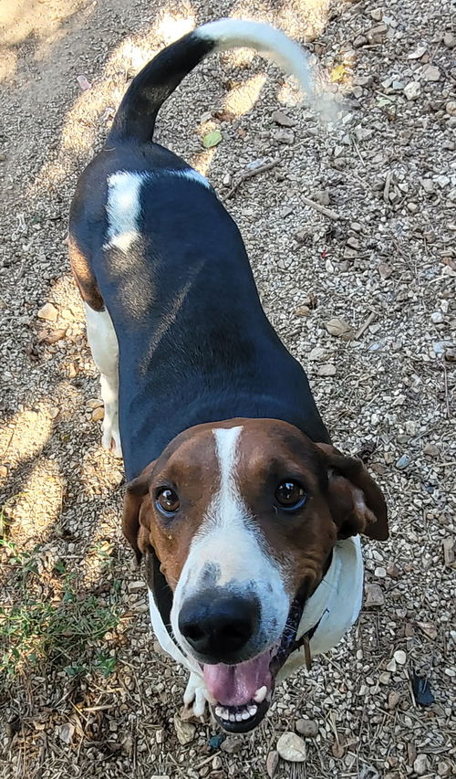 Remington