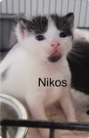 Nikos