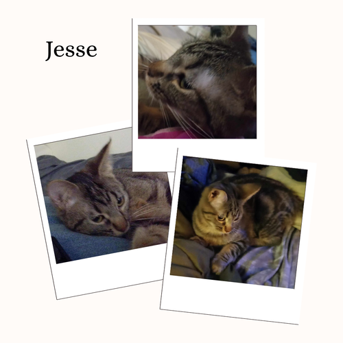 Jesse