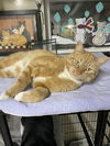 Tigger2