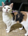 Dolly