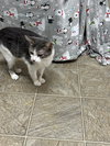 Tiny
