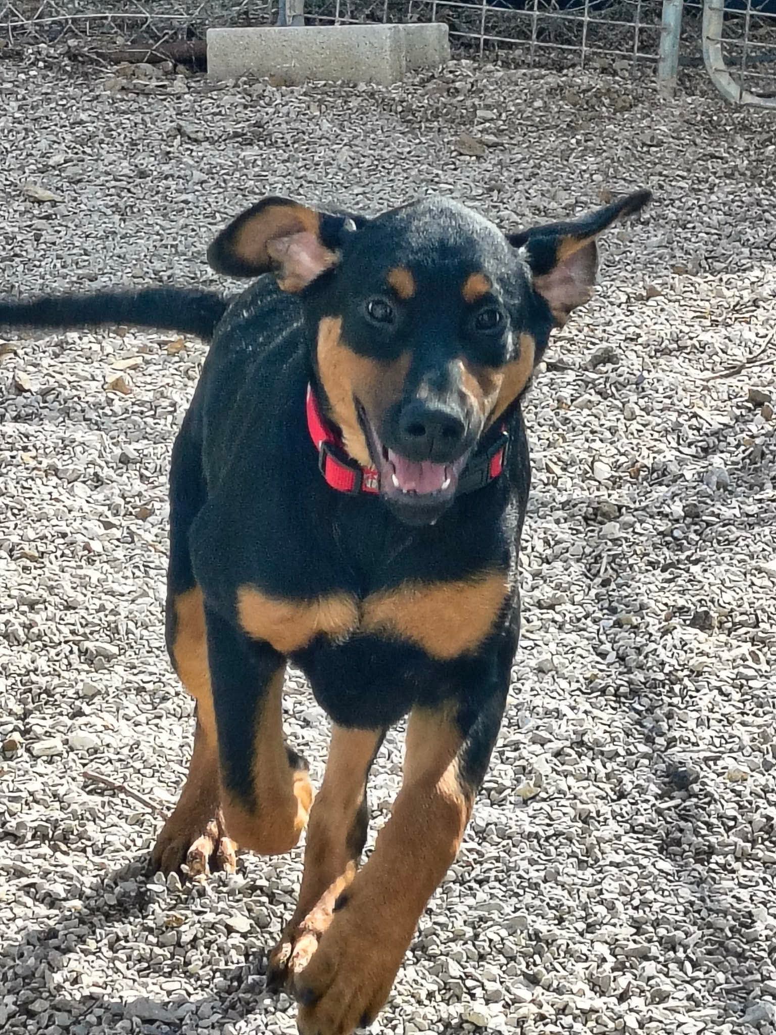 Pablo