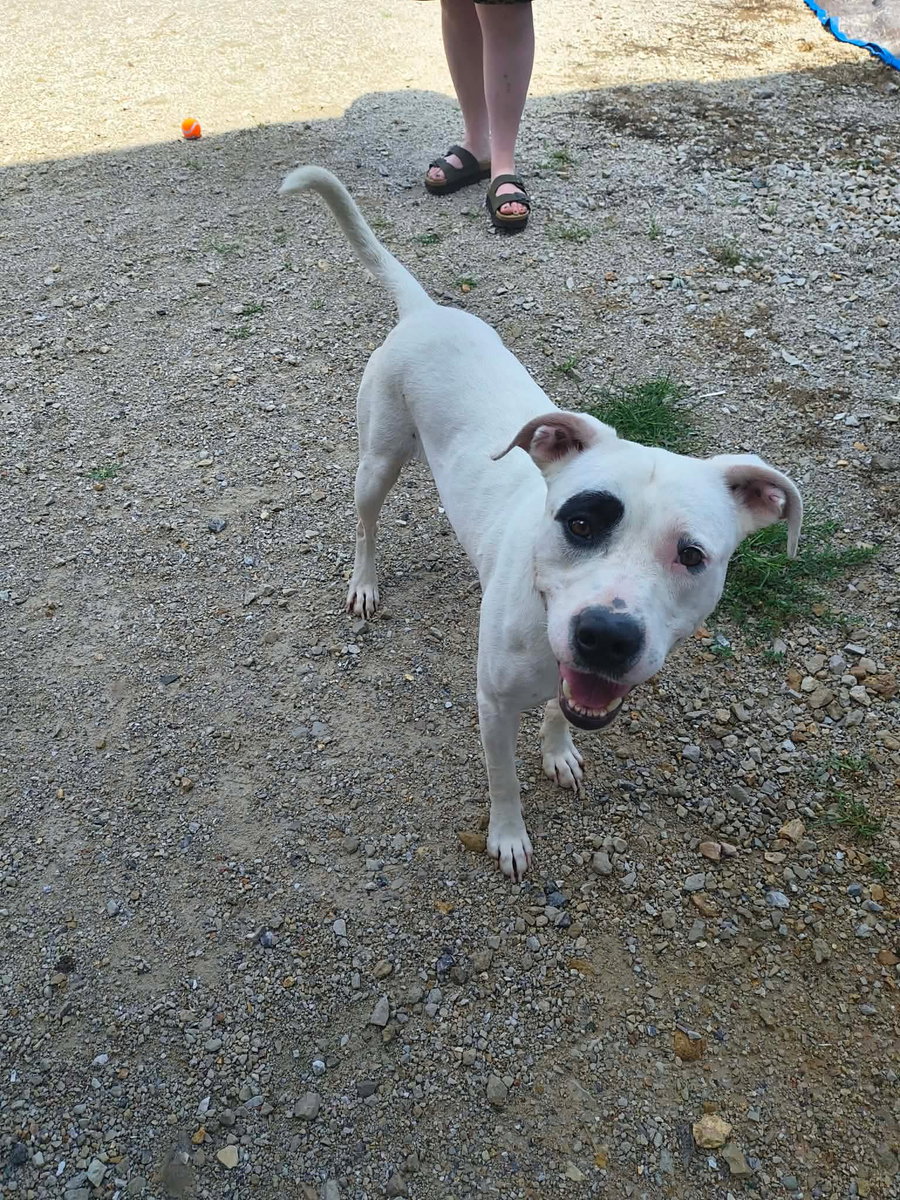 Petey