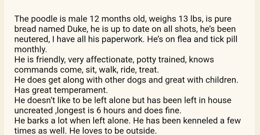 Duke