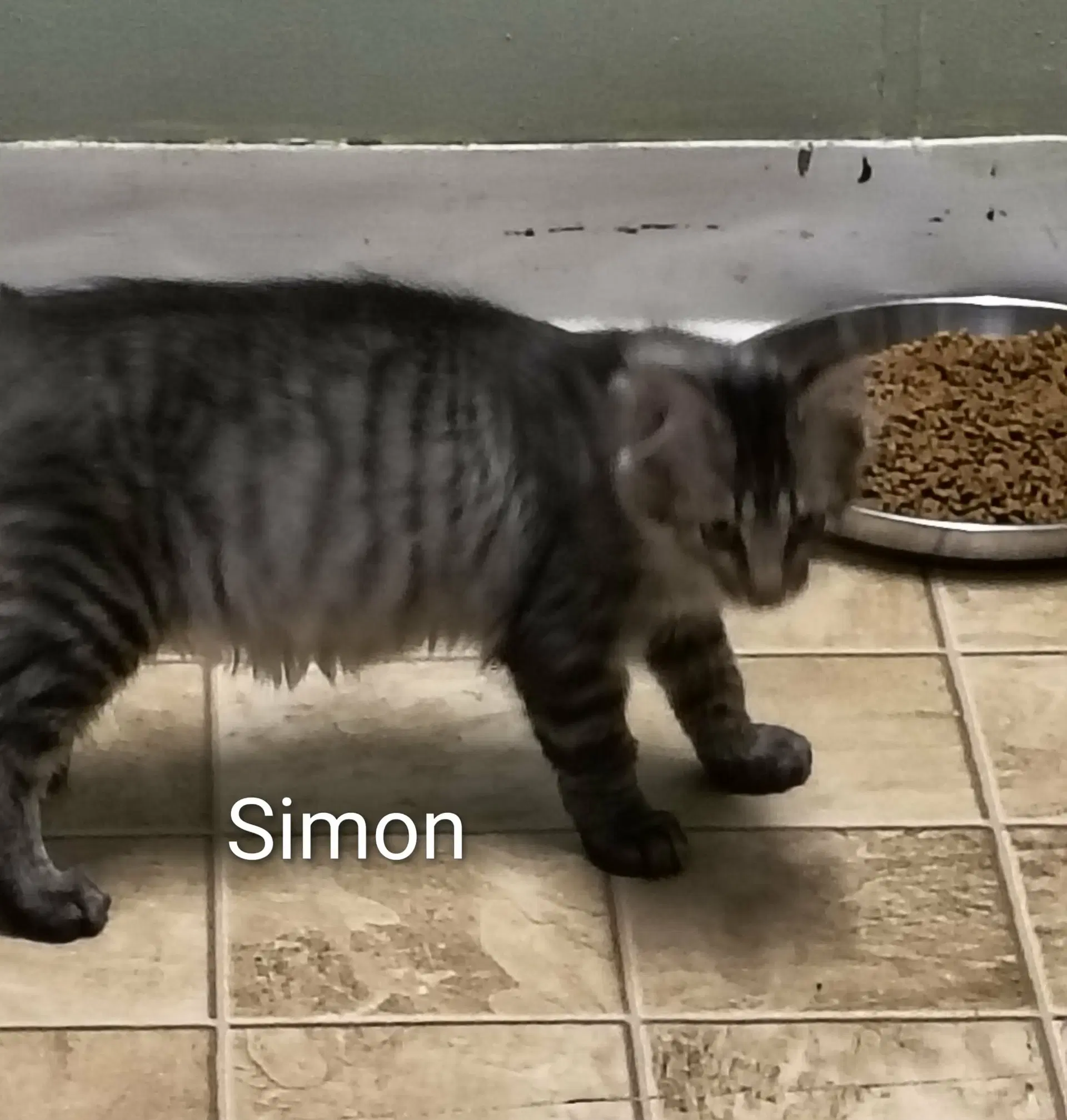 Simon image 1