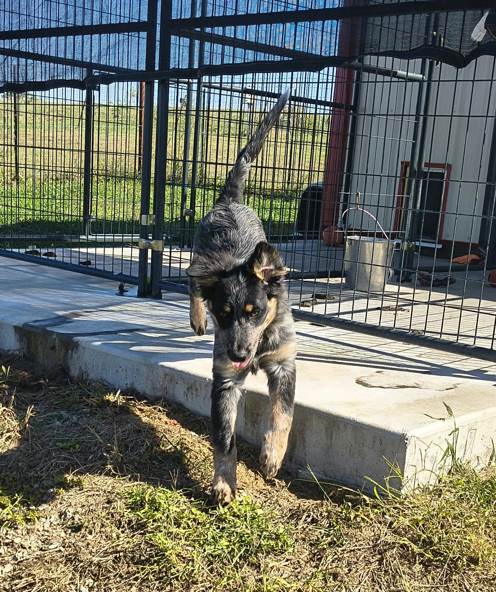 Bodie, photo 2