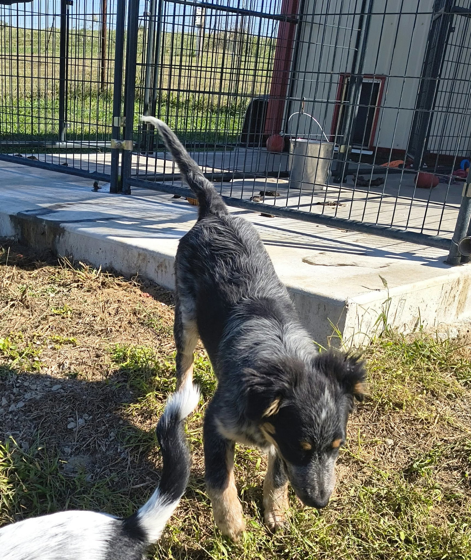 Bodie, photo 4