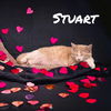 Stuart