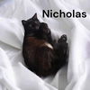 Nicolas