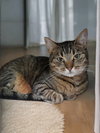 Lucy - Photo 1