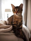 Annie